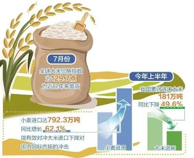 泰國大米價格下跌1-3%，市場趨勢、影響因素及未來展望，泰國大米價格下滑趨勢分析，市場趨勢、影響因素及未來展望