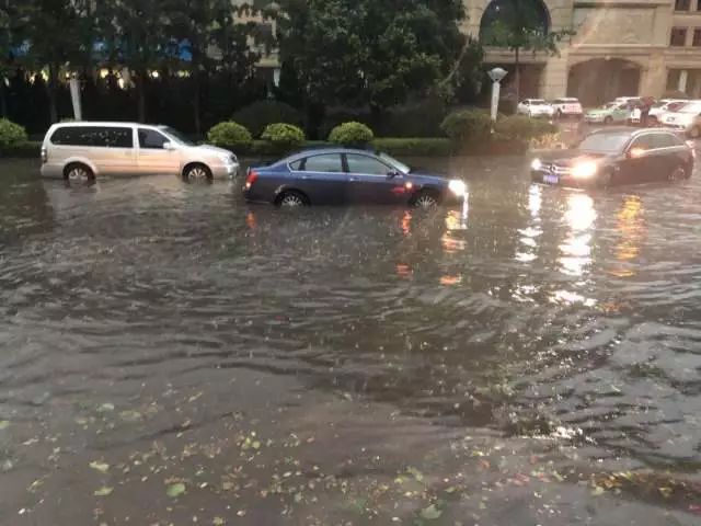 青島大暴雨最新情況報告，青島大暴雨最新情況報告，暴雨影響及應對措施分析