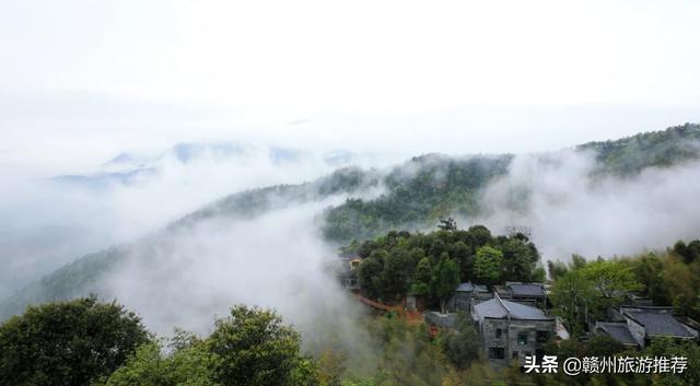 最新云想山，自然之美與科技之力的完美結(jié)合，云想山，自然與科技完美交融之美