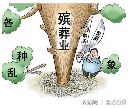 殯葬行業整治背景分析，殯葬行業整治背景深度解析