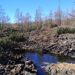 阿爾山至森林公園大巴時刻表詳解，阿爾山至森林公園大巴時刻表全解析