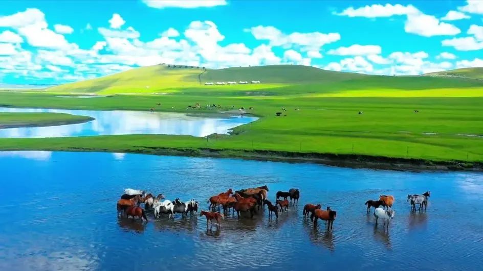 內蒙古旅游，草原之美與多彩文化的獨特魅力，內蒙古之旅，草原之美與多彩文化的獨特魅力