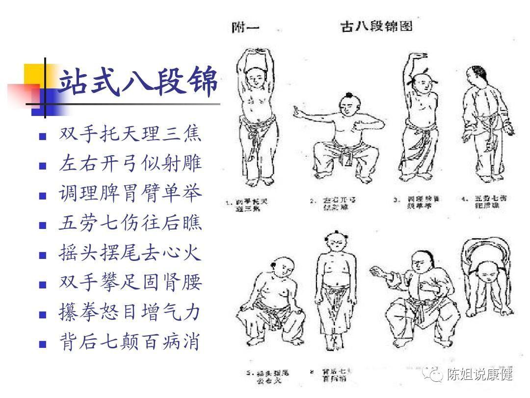 紫凝最新資料概覽，紫凝最新資料概覽全解析