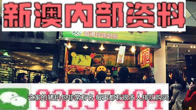 新奧天天精準資料大全，探索與洞察，新奧天天精準資料大全，探索與洞察的洞察