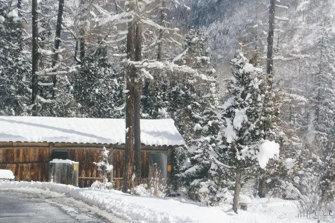 國內玩雪地方推薦，盡享雪域魅力之旅，雪域魅力之旅，國內最佳玩雪地點推薦