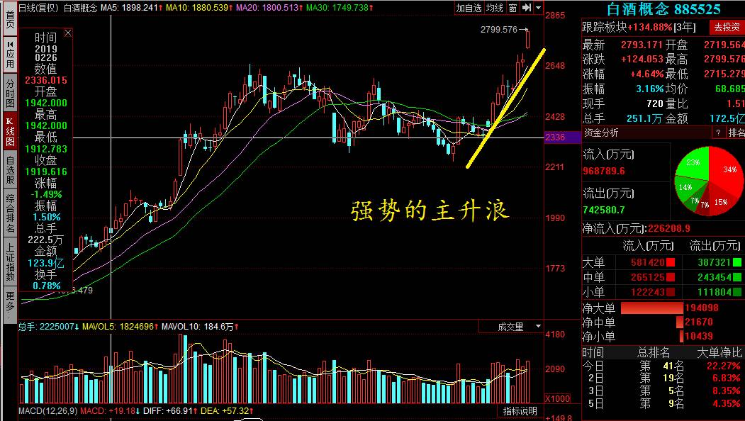 創(chuàng)歷史新高的股票，探尋背后的力量與機(jī)遇，創(chuàng)歷史新高的股票，背后的力量與機(jī)遇解析