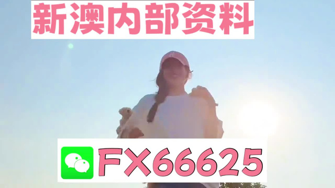 揭秘彩票背后的神秘數字，精準一肖與數字組合的魅力，彩票背后的神秘數字揭秘，精準一肖與數字組合的魅力探索