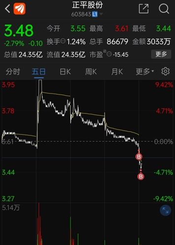 正平股份收盤下跌0.97%，市場分析與未來展望，正平股份收盤微跌，市場分析與未來展望展望。