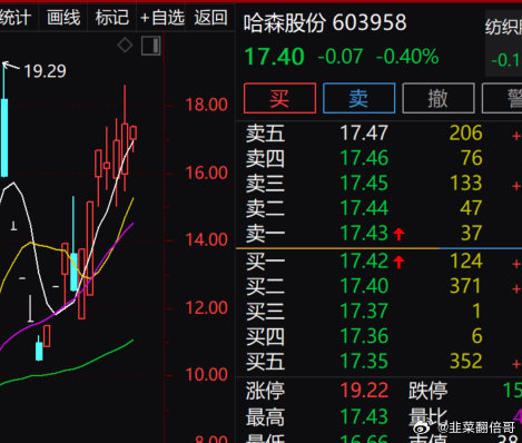 哈森股份上漲原因深度解析，哈森股份上漲原因深度探究