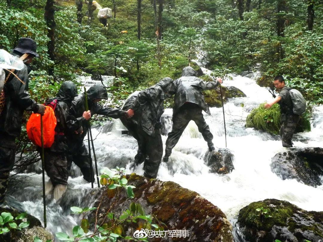 央廣軍事，權威軍事媒體的級別與影響力，央廣軍事，權威軍事媒體的級別與影響力概述