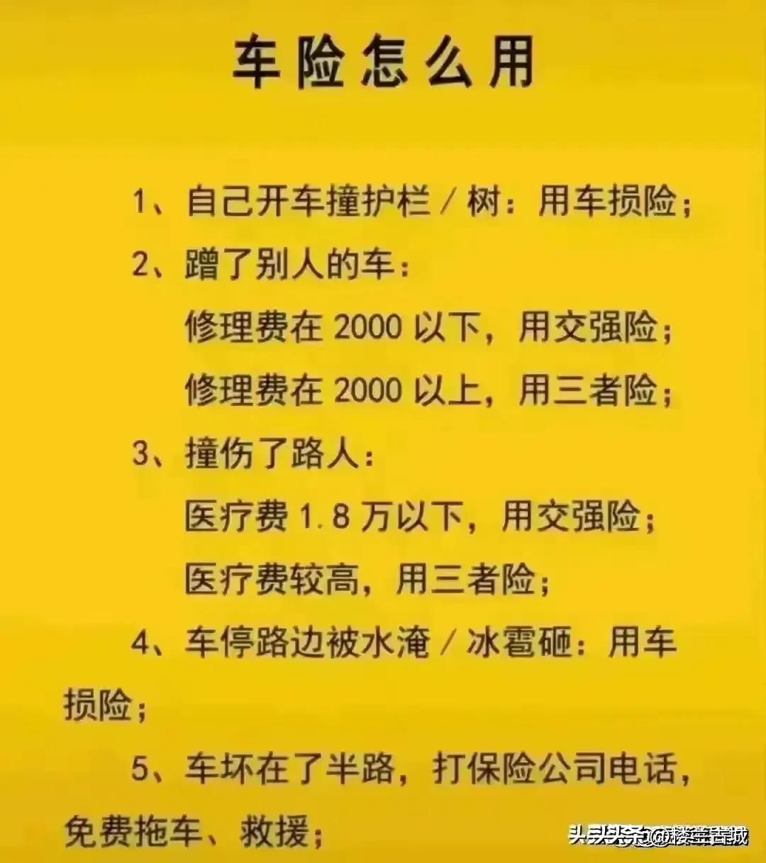 參考消息數(shù)字報，重塑新聞行業(yè)的數(shù)字化先鋒，重塑新聞行業(yè)先鋒，數(shù)字化引領下的參考消息數(shù)字報時代