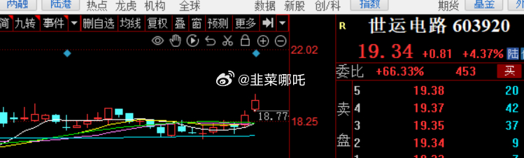 探索603920股票，市場趨勢、公司概況與投資策略，揭秘603920股票，市場趨勢、公司概況與最佳投資策略探索