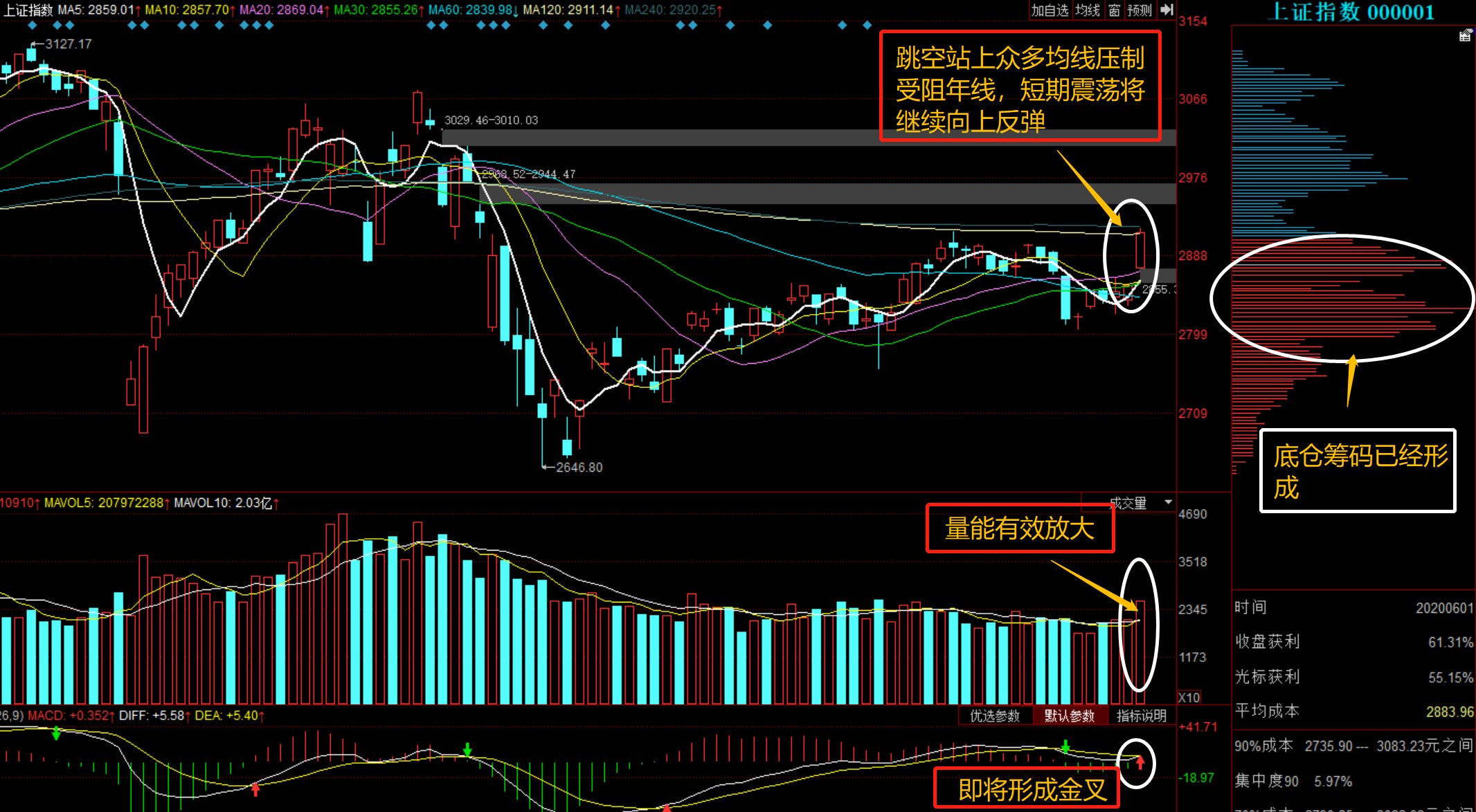 深度解析，300013股票行情及市場走勢，深度解析，股票行情與市場走勢分析——以300013為例