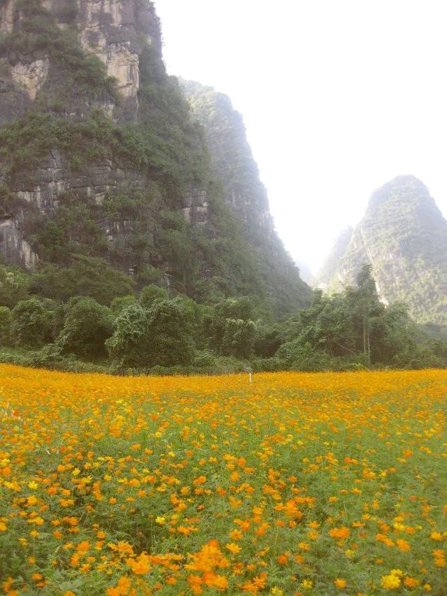 遇龍河漂流，一次難忘的水上冒險之旅，遇龍河漂流，難忘的水上冒險之旅體驗