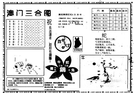 揭秘20I9王中王一肖中特玄機——探尋背后的奧秘，揭秘王中王一肖中特背后的奧秘與玄機