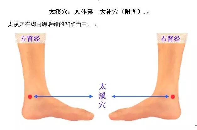 腎虧的治療與調理，腎虧的治療與調理方法探討