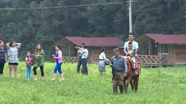 公益相親平臺，搭建愛的橋梁，助力幸福人生，公益相親平臺，搭建愛的橋梁，共創幸福人生之旅