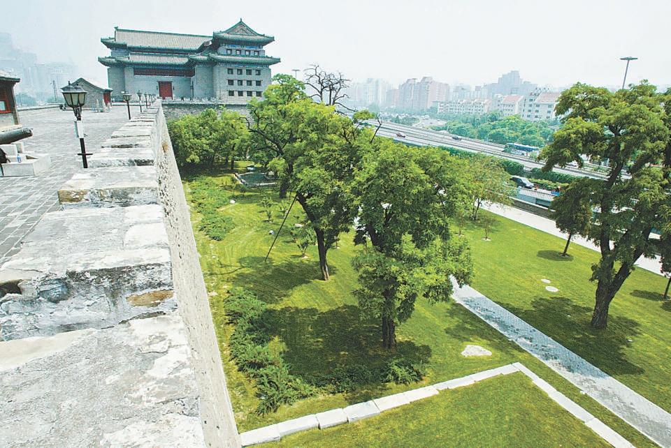 北京哪個(gè)公園最值得去，探尋城市綠肺的奧秘，探尋北京城市綠肺，哪個(gè)公園最值得一游？