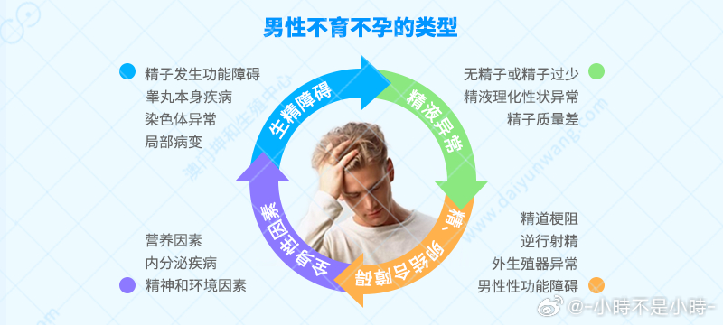 男性不育的原因及影響因素分析，男性不育的原因與影響因素深度解析