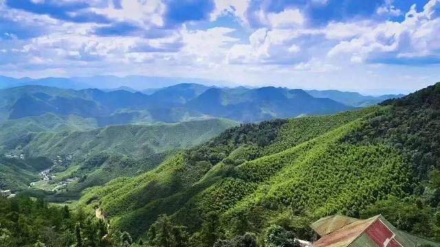 莫干山風景名勝區，自然與人文的絕美交融，莫干山風景名勝區，自然與人文的絕美交融之旅