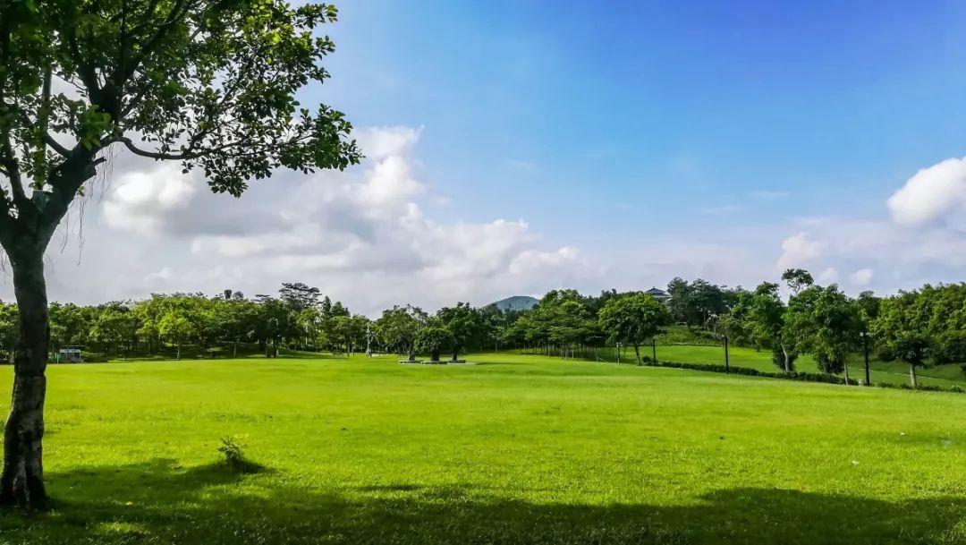 深圳免費景點，探索城市之美，深圳免費景點探秘，感受城市之美