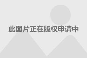 許晴個(gè)人資料身高詳述，許晴個(gè)人資料及身高詳述