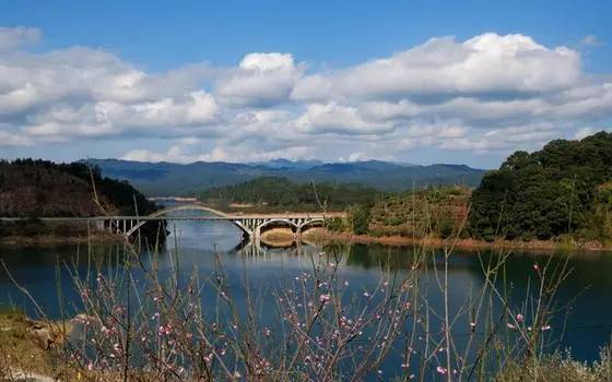 流溪河國家森林公園，自然之韻，生態之旅，流溪河國家森林公園，自然生態之旅的絕美篇章