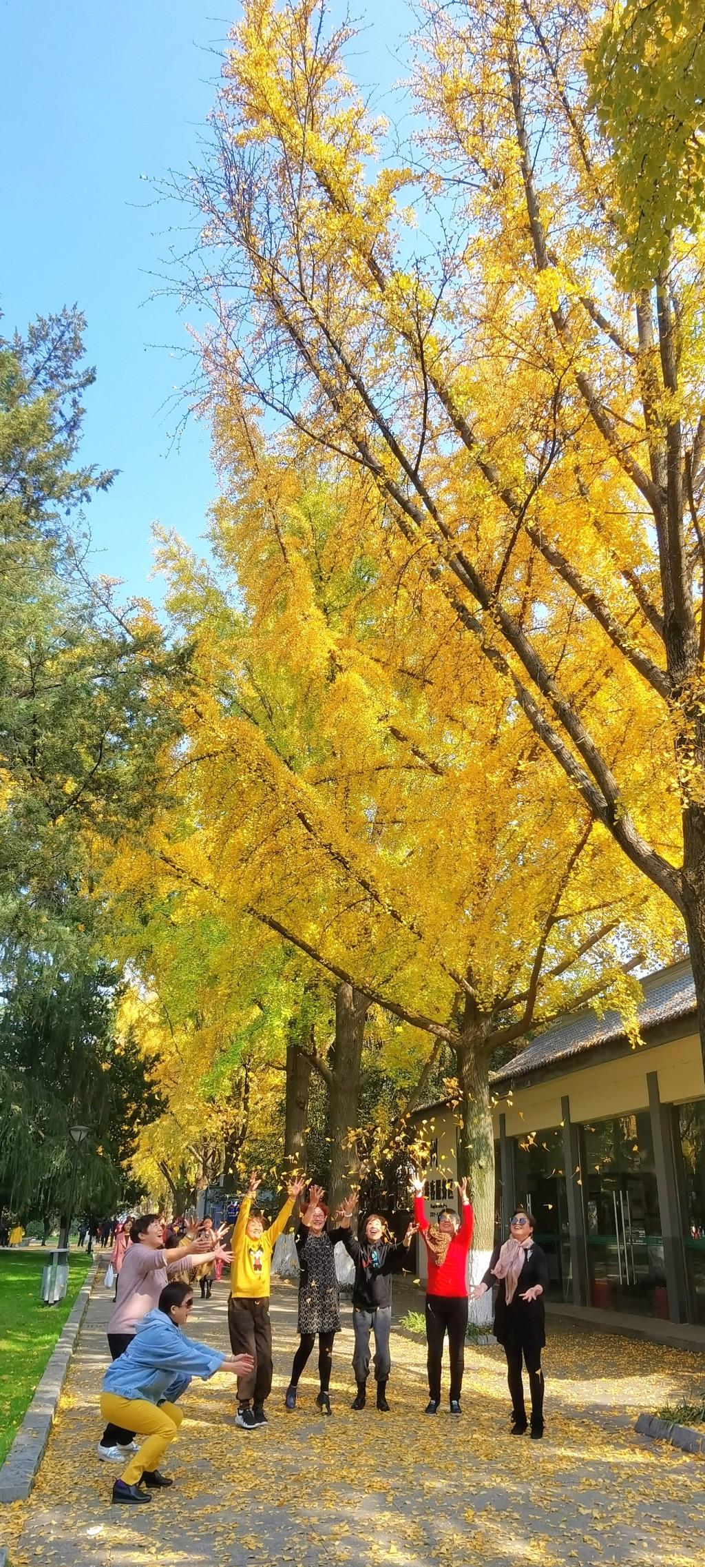 玄武湖公園，古都南京的璀璨綠寶石，古都南京的綠寶石，玄武湖公園