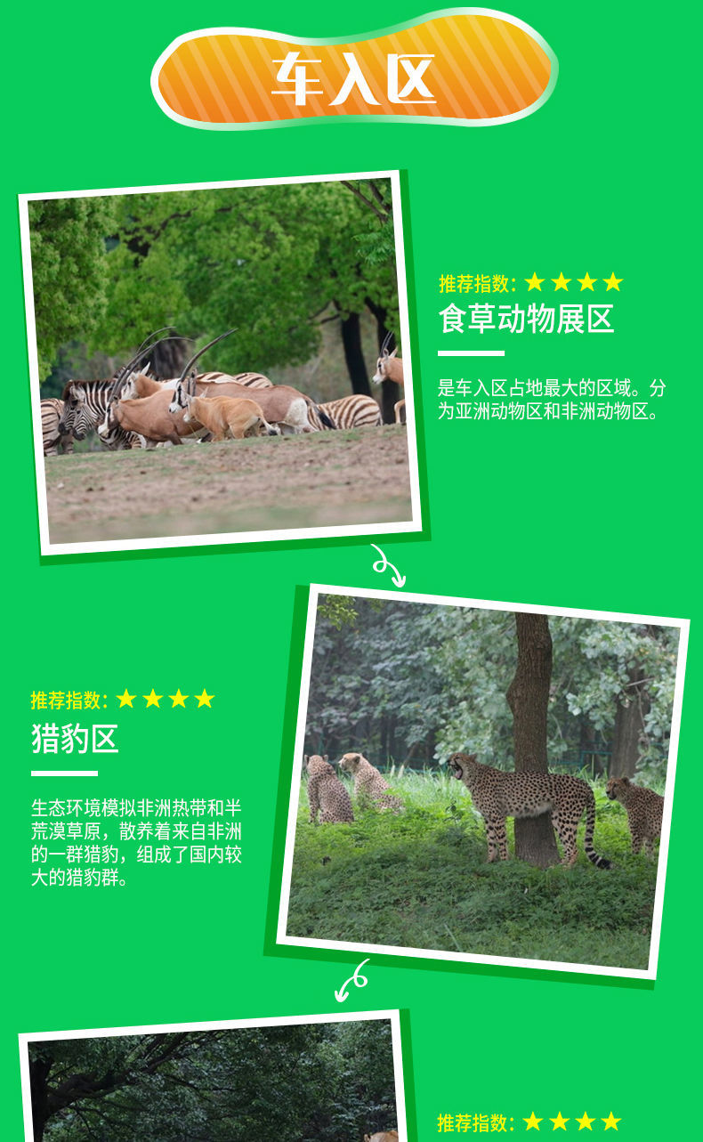 上海野生動物園票價詳解，價格、優惠及購票攻略，上海野生動物園票價詳解，價格、優惠與購票攻略全攻略