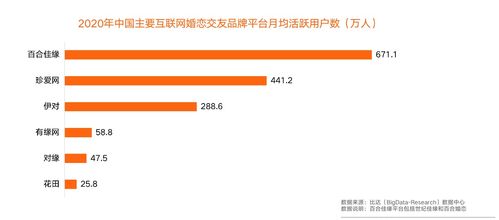 世界交友網(wǎng)站排名及其影響力分析，全球交友網(wǎng)站排名與影響力深度解析