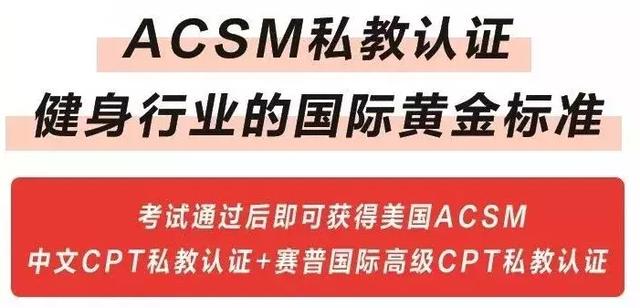 私人教練國際四大認證，引領健身行業的黃金標準，私人教練國際四大認證，健身行業的黃金標準引領者