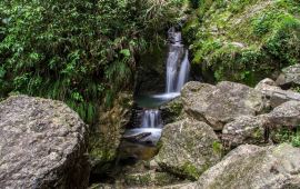 青城山天氣預報及旅游氣象指南，青城山天氣預報與旅游氣象指南