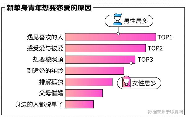 珍愛網最新版本下載安裝，探索與體驗，珍愛網最新版本下載，探索與體驗之旅