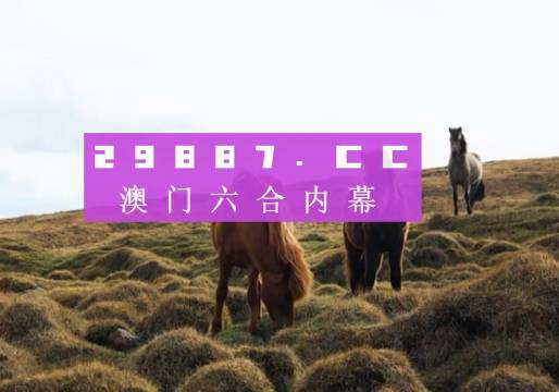 澳門49圖庫最快開獎(jiǎng)，探索數(shù)字彩票的魅力與最新動(dòng)態(tài)，澳門49圖庫最新開獎(jiǎng)動(dòng)態(tài)，數(shù)字彩票的魅力與最新進(jìn)展