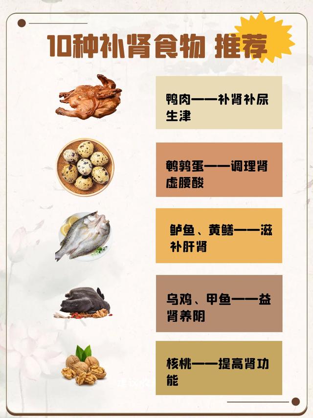 吃什么補腎——中醫食療的奧秘，中醫食療揭秘，吃什么能補腎？