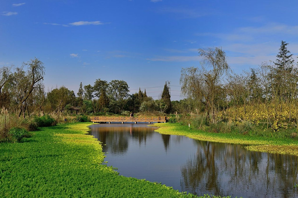 濕地公園景點介紹，濕地公園景點探秘，自然美景一覽無余