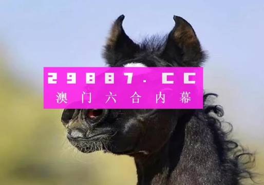 澳門特馬今晚開獎81期，期待與驚喜交織的時刻，澳門特馬81期開獎，期待與驚喜的交匯時刻