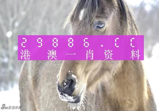 澳碼精準(zhǔn)100%一肖一碼最準(zhǔn)肖