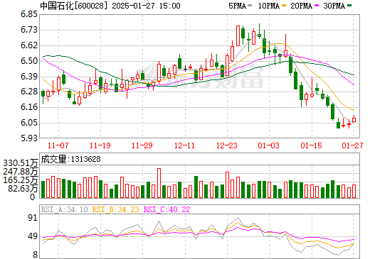 中國石化600028股票，深度解析與前景展望，中國石化600028股票深度解析與未來前景展望