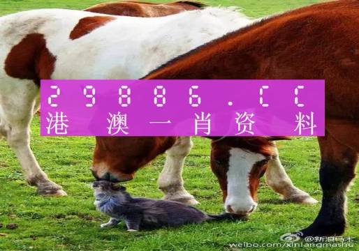 今晚奧門(mén)碼開(kāi)獎(jiǎng)結(jié)果揭曉，激情與期待的交匯點(diǎn)，奧門(mén)今晚開(kāi)獎(jiǎng)結(jié)果揭曉，激情與期待的瞬間