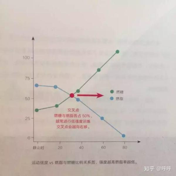 做哪些運動可以減肥，運動減肥，最有效的瘦身運動有哪些？