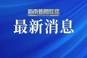 新澳2025正版資料免費(fèi)公開(kāi)，探索與啟示，新澳2025正版資料免費(fèi)公開(kāi)，探索之旅與啟示