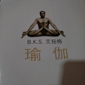 艾楊格瑜伽，一種深度探索身心平衡的藝術(shù)，艾楊格瑜伽，探索身心平衡的藝術(shù)之道