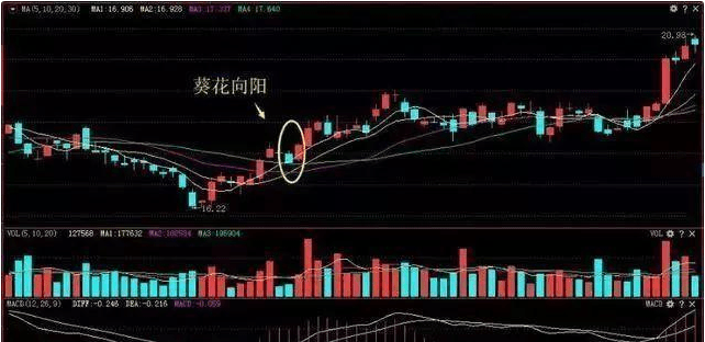 向日葵股票最新消息深度解析，向日葵股票最新消息深度解讀與分析