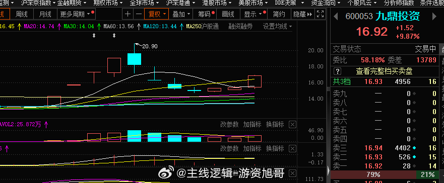 股票600053，深度解析與前景展望，股票600053深度解析及前景展望