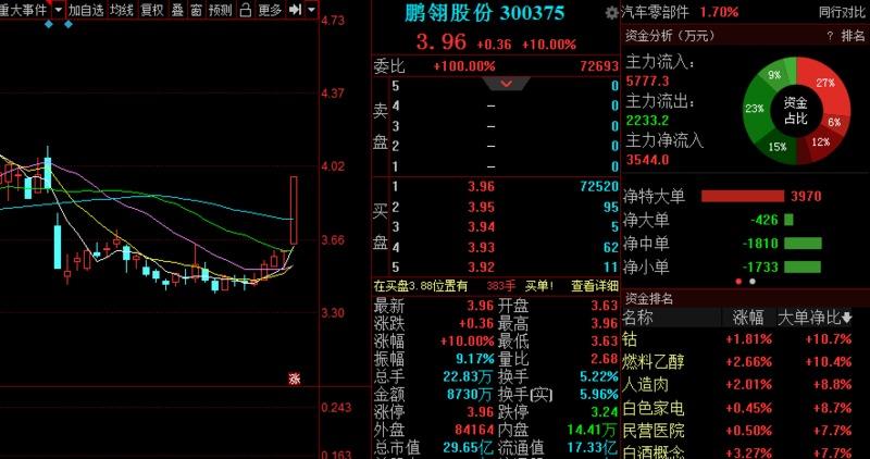 鵬翎股份，引領(lǐng)行業(yè)變革，鑄就卓越未來，鵬翎股份引領(lǐng)行業(yè)變革，鑄就卓越未來成就