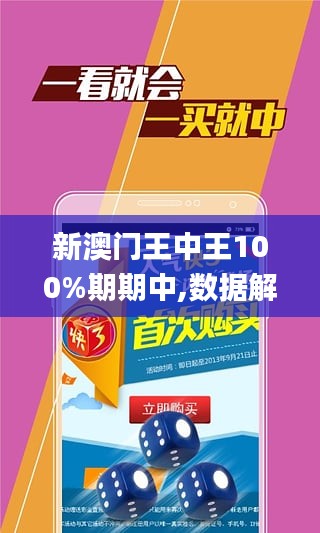 新澳門王中王期期中的奧秘與探索，澳門王中王期期奧秘揭秘與深度探索