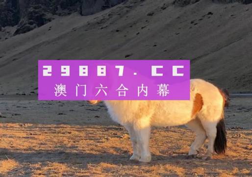 澳門最快開獎(jiǎng)六開彩雙的魅力與探索，澳門最快開獎(jiǎng)六開彩雙之魅力揭秘與深度探索