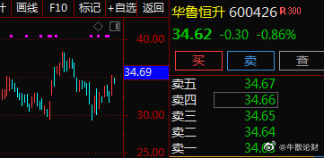 華魯恒生股票股吧，深度解析與前景展望，華魯恒生股票深度解析及前景展望——股吧熱議話題