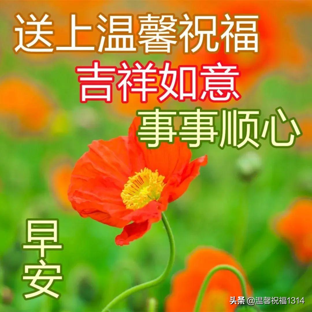 我的漂亮朋友2，我的漂亮朋友，友誼之美與情感糾葛